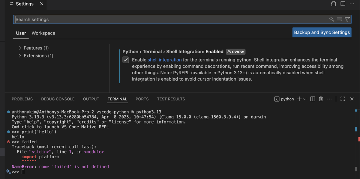 設定エディターでの Python シェル統合設定のスクリーンショット。