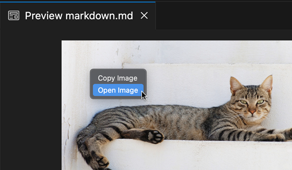 Markdown プレビューで画像を開くコンテキストメニューオプションを示すスクリーンショット。