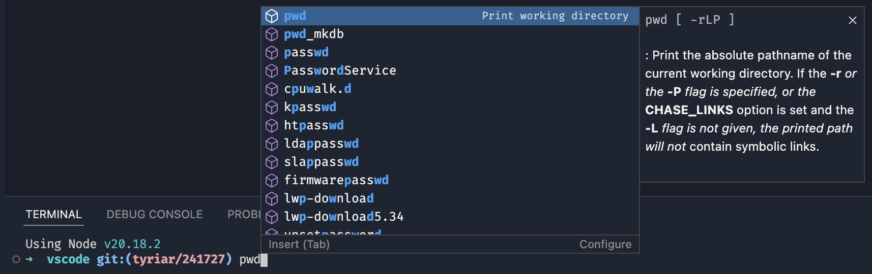 補完を示す zsh のスクリーンショット。man ページからの詳細情報が表示されています。